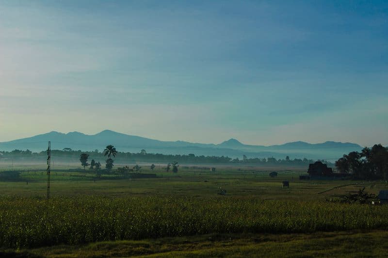 Containing Marawi