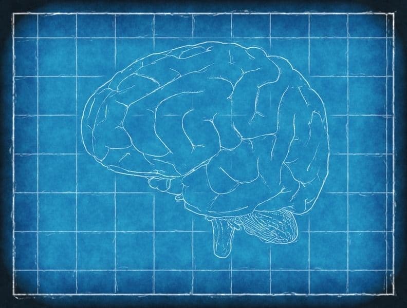 Intelligence's Accidental Profession