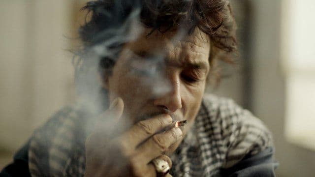 Incoming: Sex, Drugs, and Copenhagen