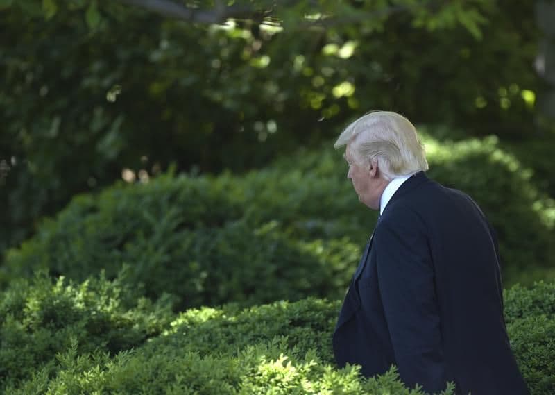 Trump, Putin Look to Work Together on Syria