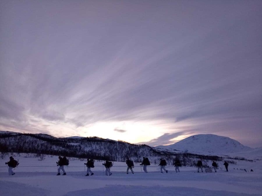 Marines, snow
