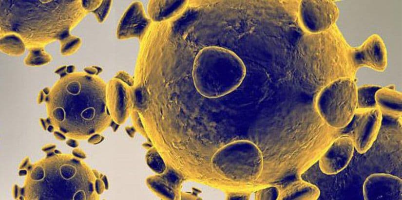 Managing Chaos: Biosecurity in a Post-COVID-19 America