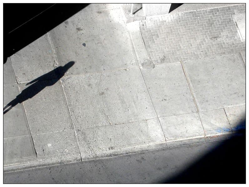 The Role of Women in Islamic State-led Terrorism