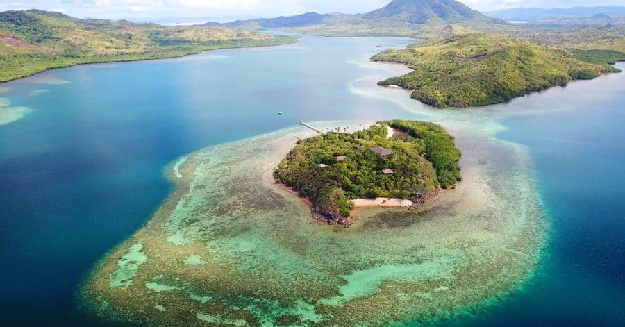 Accenture, Intel and Sulubaa Environmental Foundation Use Artificial Intelligence to Save Coral Reefs