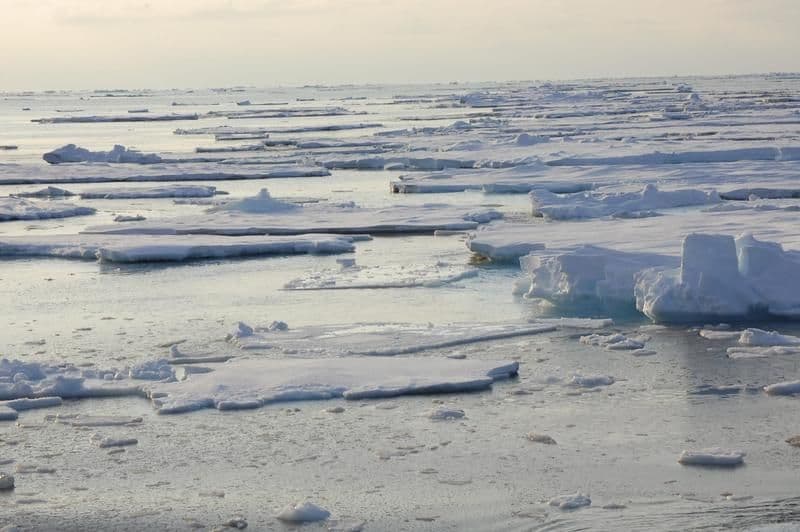China's Undeclared Foreign Policy at the Poles