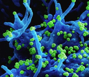 Putin, Plague, and the America’s Biodefense Gap
